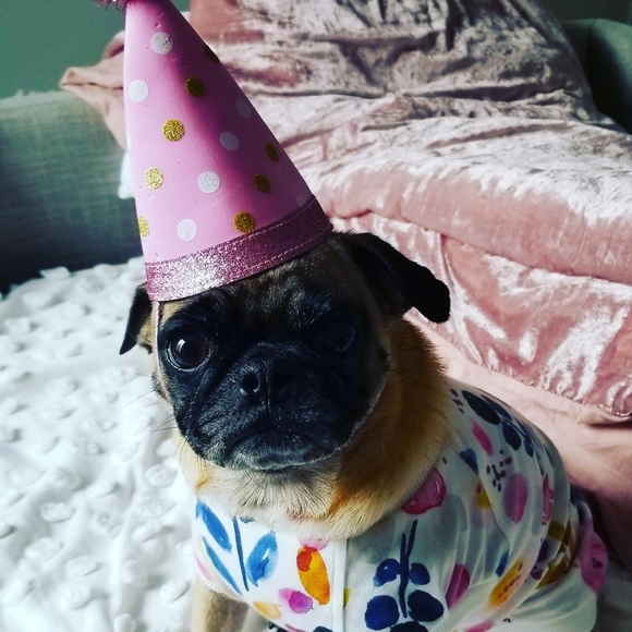 Meet your Poshers, Jessica & Penelope - Picture 5 of 5